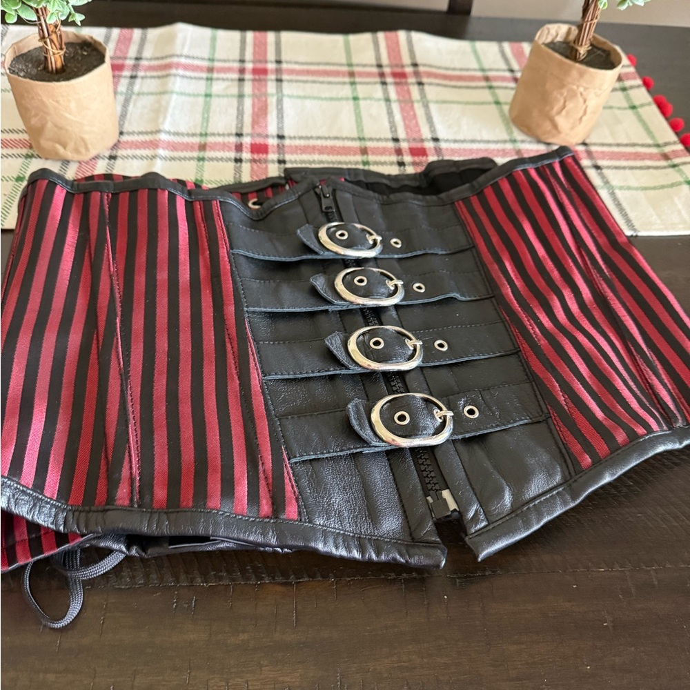 Black and Red Striped Corset